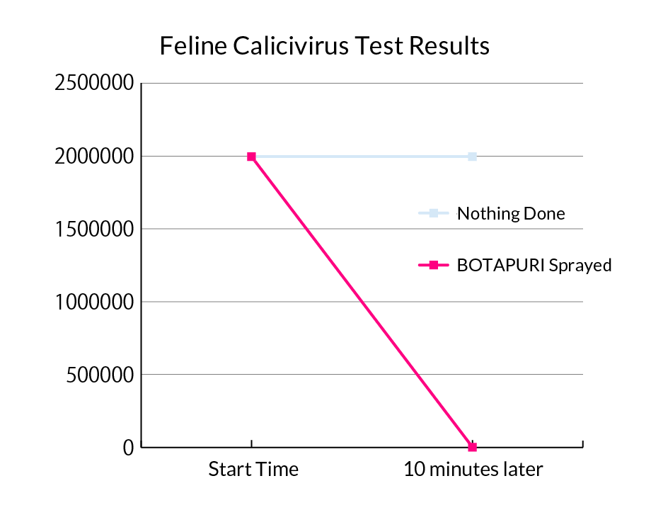 Feline Calicivirus Test Results
